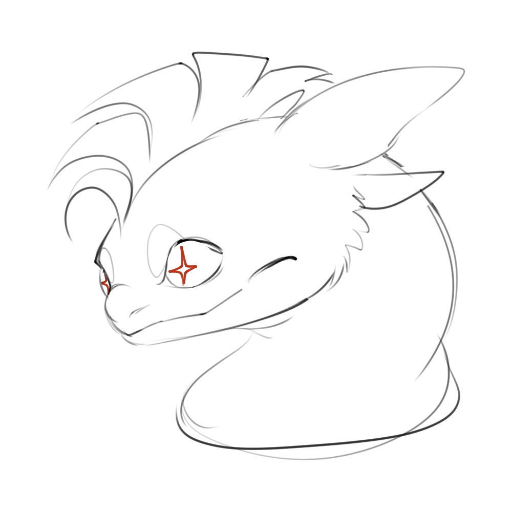 | Different Pupil Shapes |